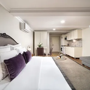 Appartement Meroddi Galata Flats, Istanboel